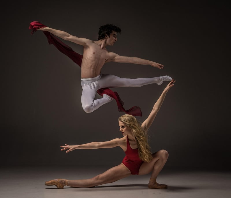 Ballet Dance Ballroom Dancer
